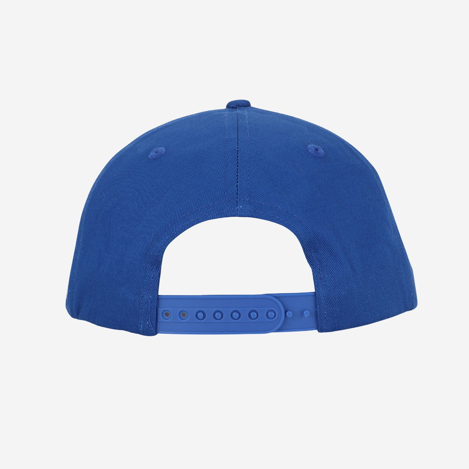 Mobile Professional Dodger Blue Snapback Hat